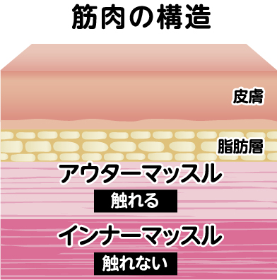 インナーとアウターマッスルの違い