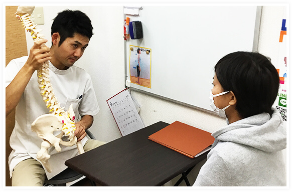骨盤の模型を使って分かりやすく説明します。